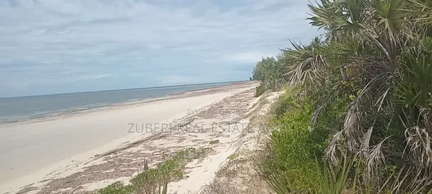 1 Acre Beach Plot for Sale in Pangani - 1