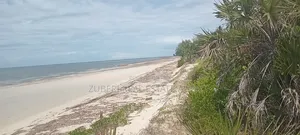 1 Acre Beach Plot for Sale in Pangani