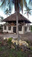 1 Acre Beach Plot for Sale in Pangani - 5