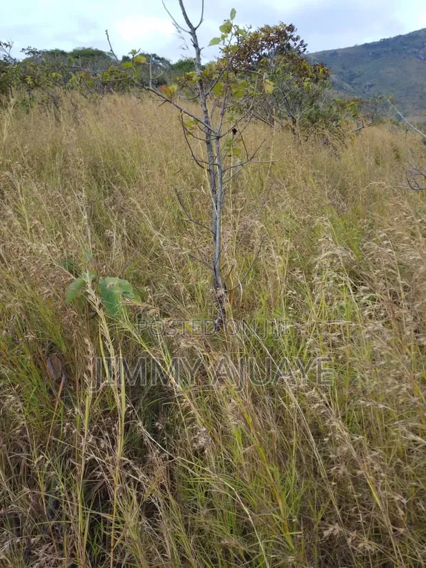 Shamba la Hekari 500 kwa Kilimo na Ufugaji, Dabaga - 1