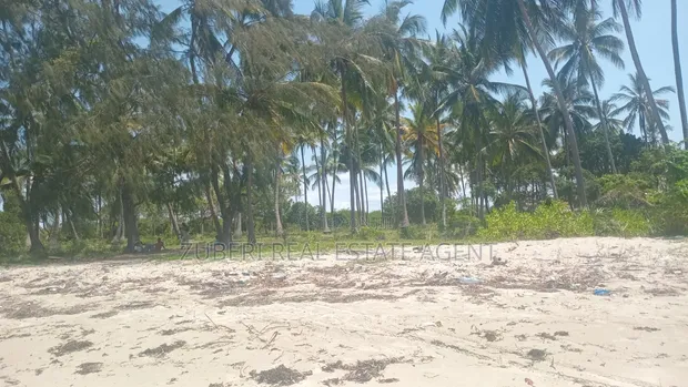 Beach Plot for Sale - Mkwaja, Pangani - 1