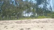 Kiwanja cha Pwani Kinauzwa - Mkwaja, Pangani - 1