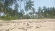 Kiwanja cha Pwani Kinauzwa - Mkwaja, Pangani - 2