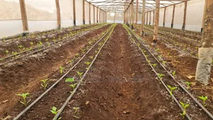 Drip Irrigation System for Various Crops