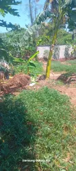 1600 sqm Residential Plot for Sale in Bunju A Mji Mpya - 3