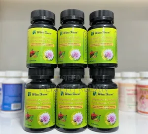 Silymarin Liver Health Tablets - Wins Town