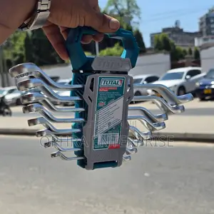 Total 8pcs Offset Ring Spanner Set (6-22mm)