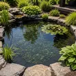 0.5mm Pond Liners for Fish Farming - 1