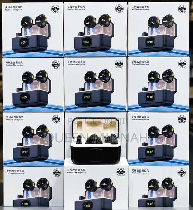 Wireless Microphone System - 1