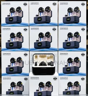 Wireless Microphone System