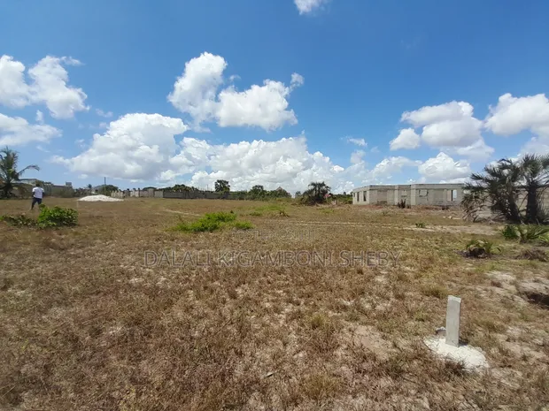 Land for Sale Kigamboni Geza Ulole - 1