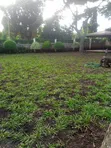 Nyumba ya Kifahari Vyumba 6 vya Kulala Njiro PPF, Arusha - 3