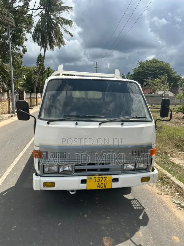 Toyota Dyna Truck - 1