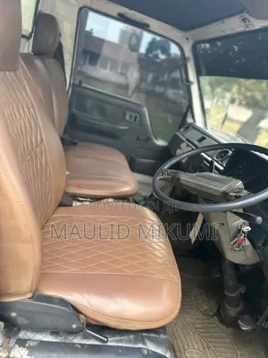 Toyota Dyna Truck