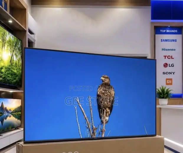 TCL 55" QLED TV (Brand New) - 1
