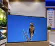 TCL 55" QLED TV (Brand New) - 1