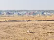 Residential Plots for Sale in Kisesa - Igekemaja - 1