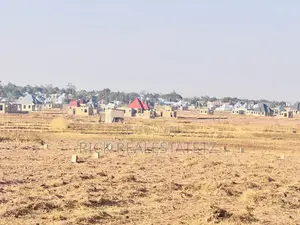 Residential Plots for Sale in Kisesa - Igekemaja