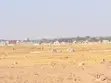 Residential Plots for Sale in Kisesa - Igekemaja - 3