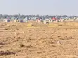 Residential Plots for Sale in Kisesa - Igekemaja - 4