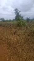 112 Hectares Land for Sale, Morogoro Road, Lugono - 2