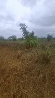 112 Hectares Land for Sale, Morogoro Road, Lugono - 3