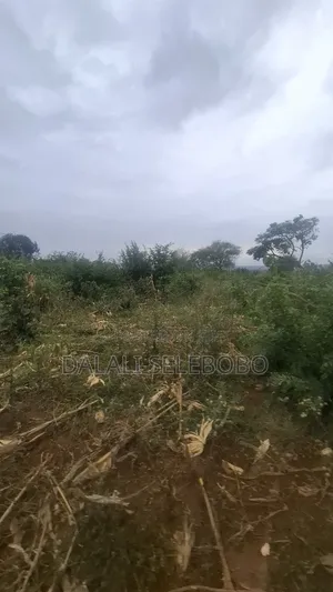 112 Hectares Land for Sale, Morogoro Road, Lugono