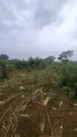 112 Hectares Land for Sale, Morogoro Road, Lugono - 4
