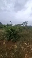 112 Hectares Land for Sale, Morogoro Road, Lugono - 5