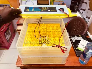 Inkubeta Mayai ya Kiotomatiki - Mayai 48