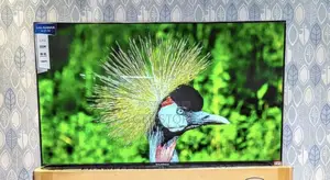 Solarmax 43-inch Frameless LED TV