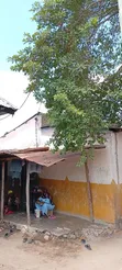 4-Bedroom House for Sale in Ungindoni, Kigamboni - 1