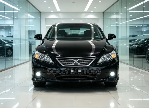 Toyota Mark X 2009 Black - 1