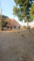 Residential Plot for Sale in Mwanza-Nyashishi - 4