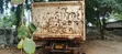Tata Tipper Truck - 5