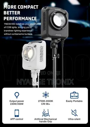 Studio Light 350bi (3 Light Modes)