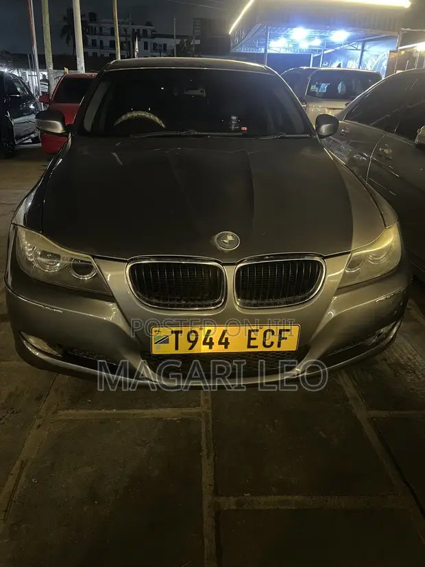 BMW 3 Series 316i RWD 2010 Gray - 1