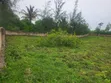 60x80 Plot for Sale in Paje, Zanzibar - 2