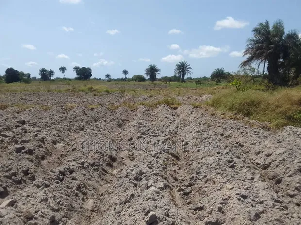 Eneo Bora la Eka 28 kwa Uuzaji - Kigamboni, Mwasonga - 1