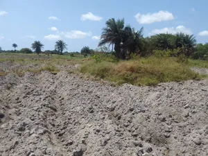 Prime 28-Acre Land for Sale - Kigamboni, Mwasonga