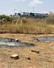 Land for Sale in Mkalama Centa, Dodoma - 1