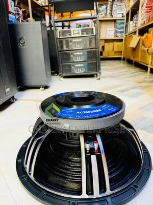 ANCO VISION 18" Double Magnet Speaker 2800W