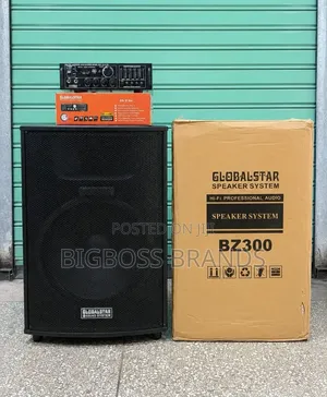 Global Star BZ300 Sound System with Amplifier