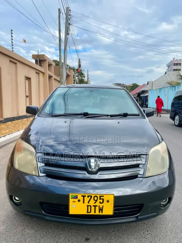 Toyota IST 2003 Gray - 1