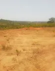 Residential Plot for Sale - Mkuranga (1 Acre) - 1