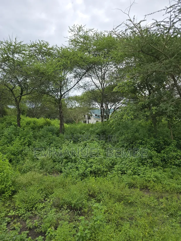 30 Acres Farm for Sale, Arusha - Usa River Dolly Estate - 1