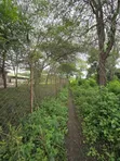30 Acres Farm for Sale, Arusha - Usa River Dolly Estate - 2