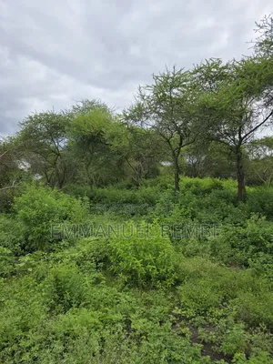 30 Acres Farm for Sale, Arusha - Usa River Dolly Estate