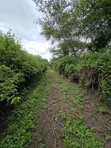 30 Acres Farm for Sale, Arusha - Usa River Dolly Estate - 5