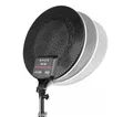 Studio Photo and Video Light - 1